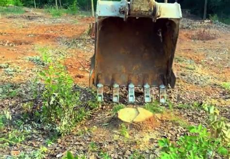 will a mini excavator pull up large tree stumps|excavators to remove pine tree stumps.